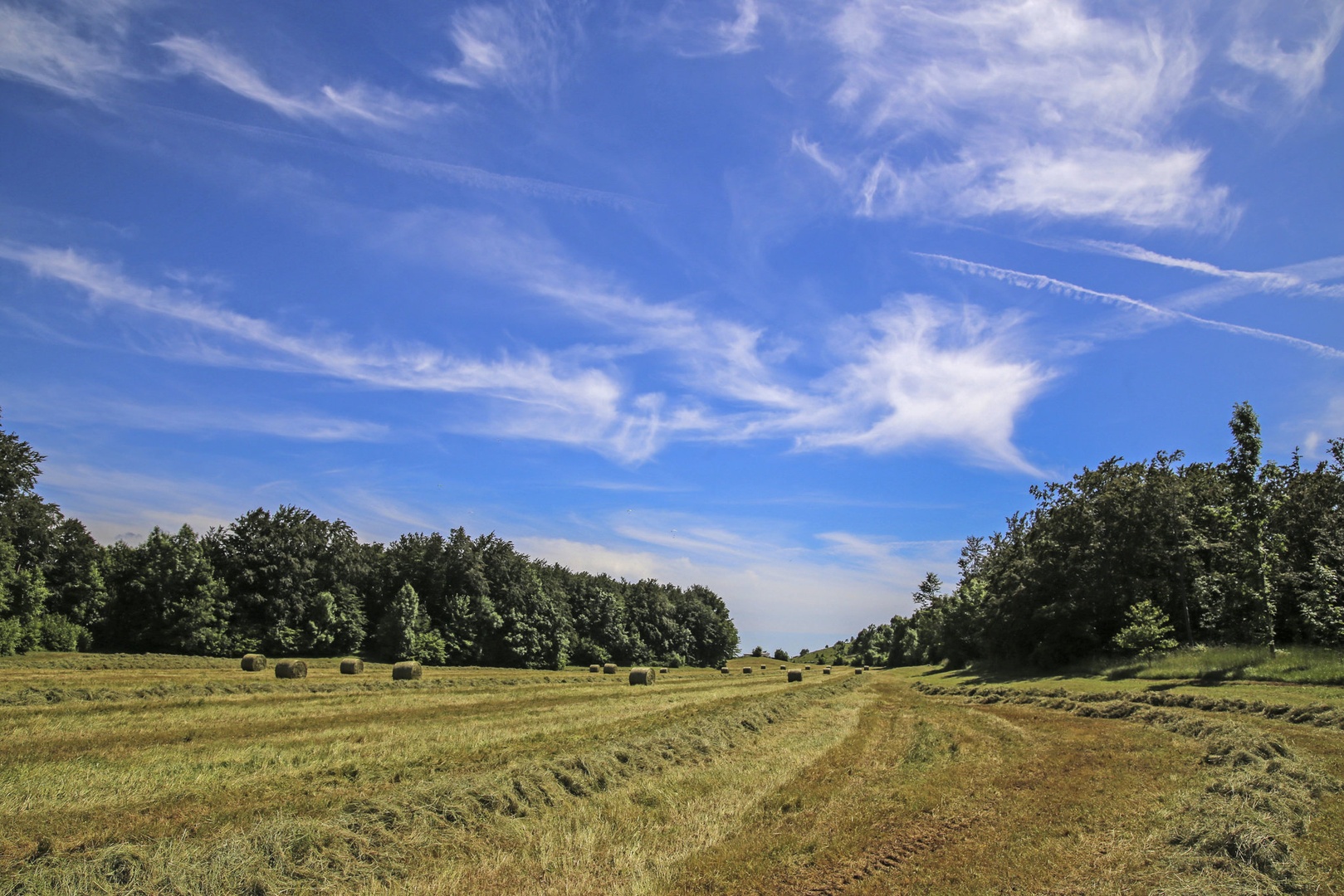 Košnja by