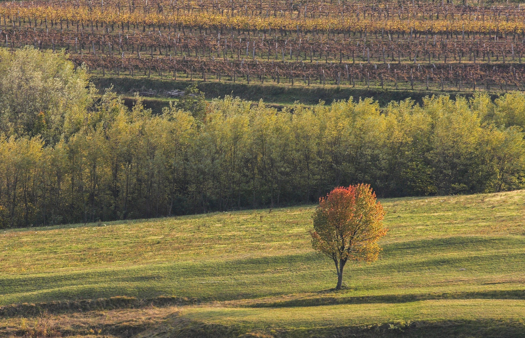 JESENSKE GMAJNE by