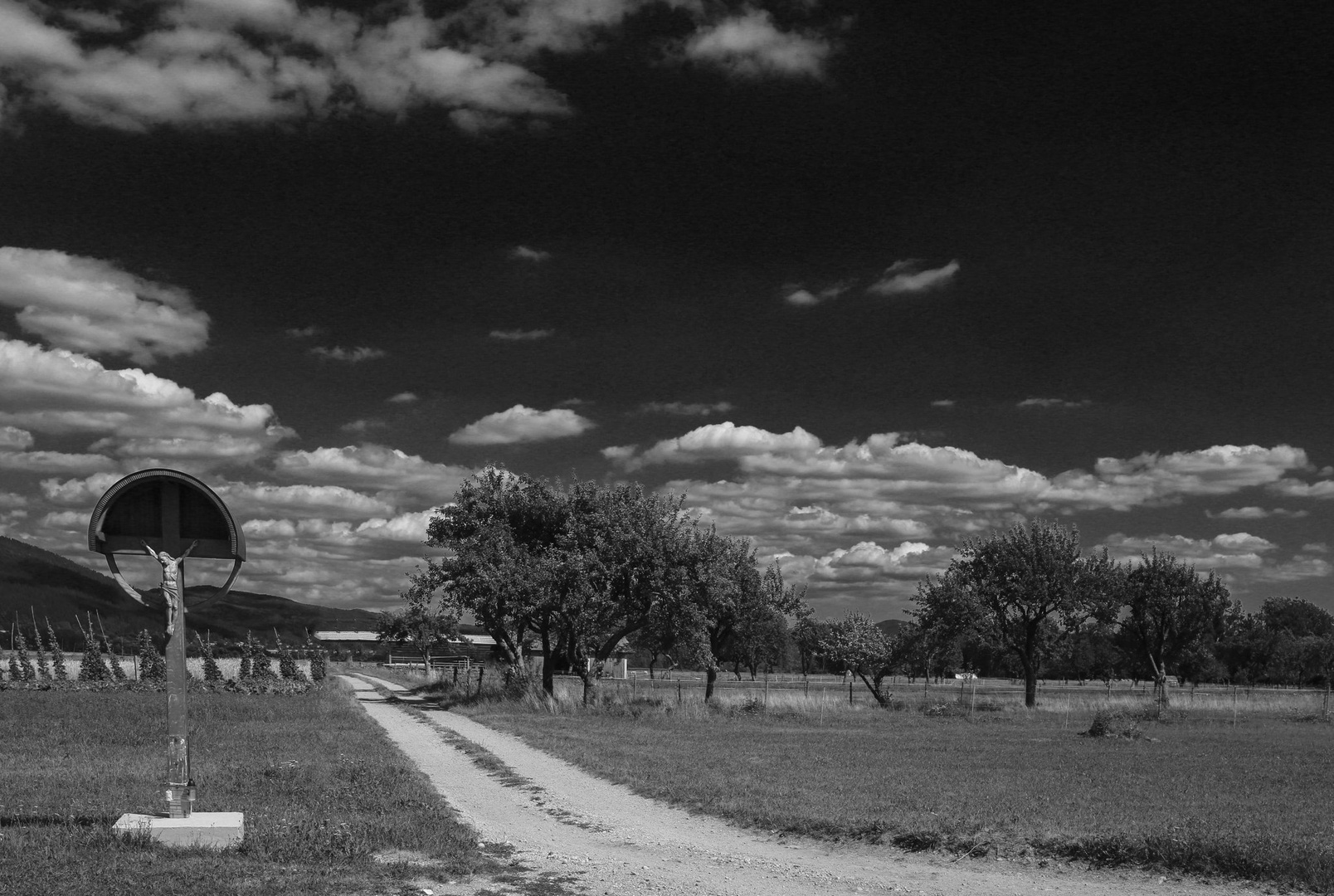 Popoldnevi. by