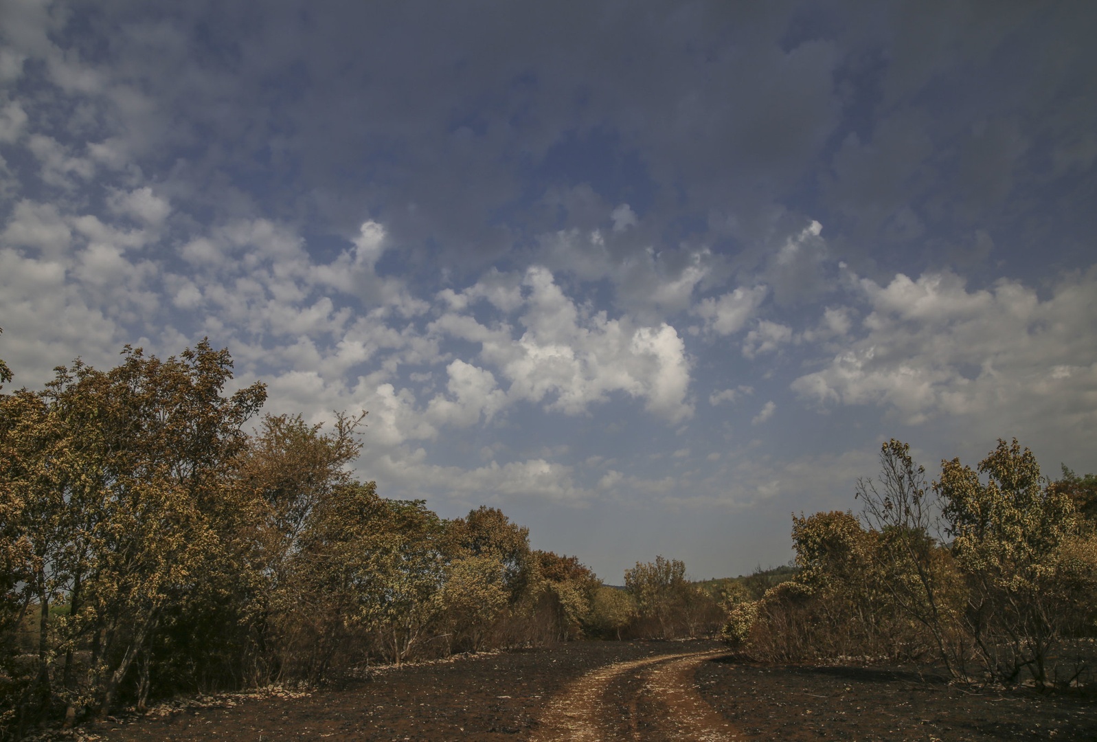 Poghorišče by