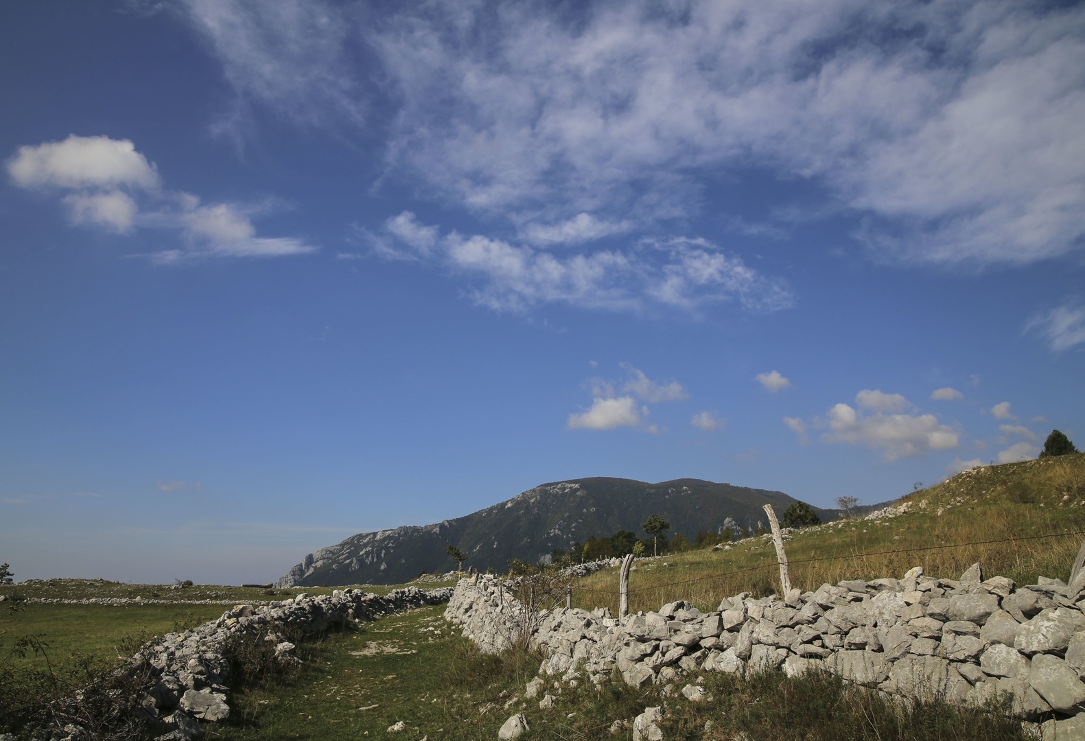 PLANOTA by