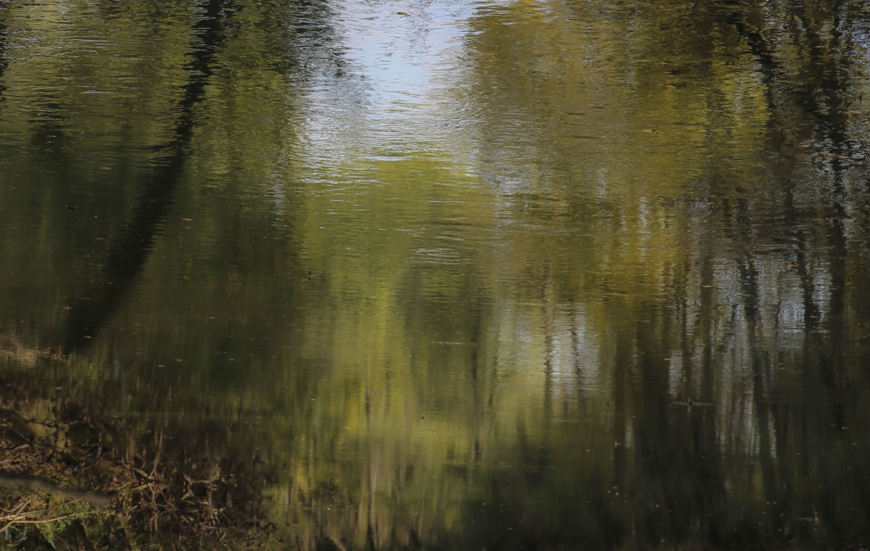 JESENSKA REFLEKSIJA by