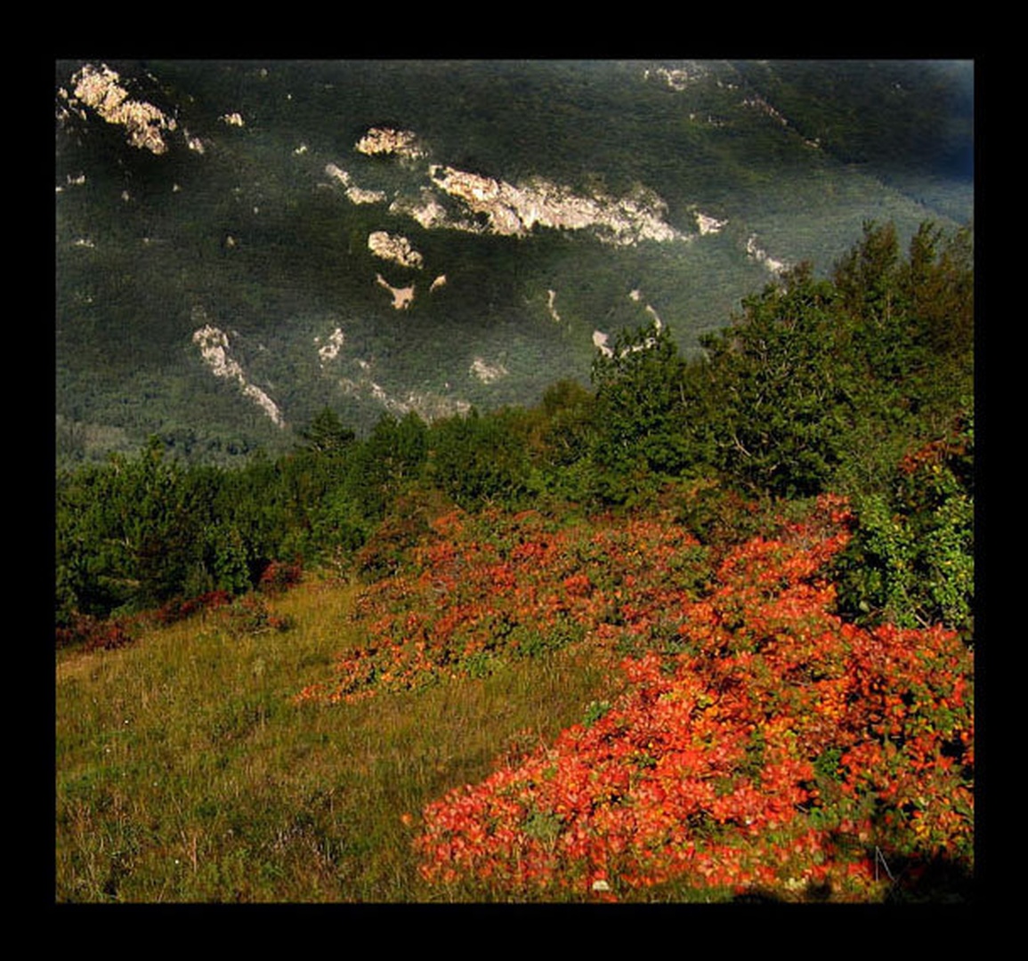 pozzno popoldan by