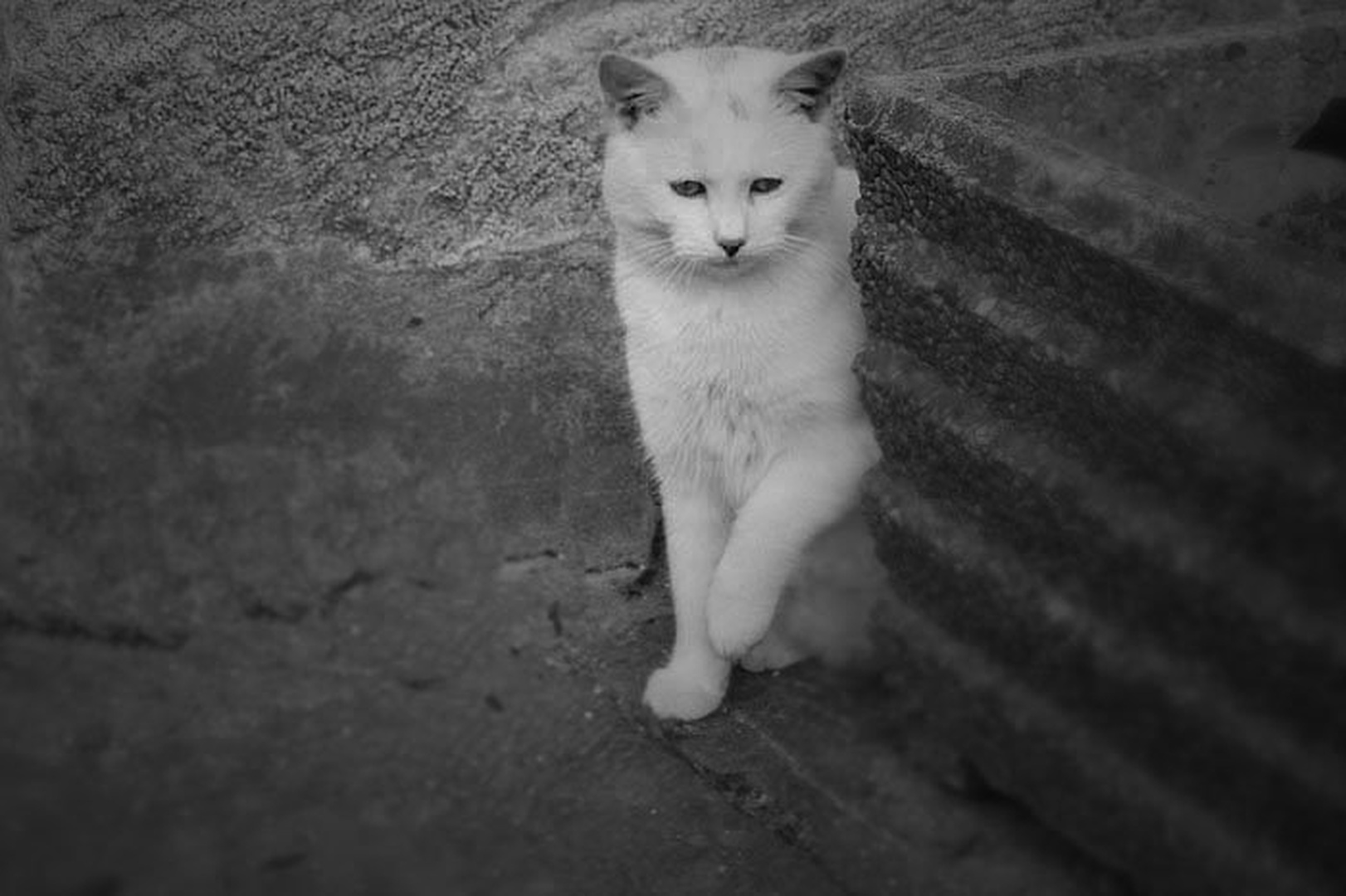 Na preži by