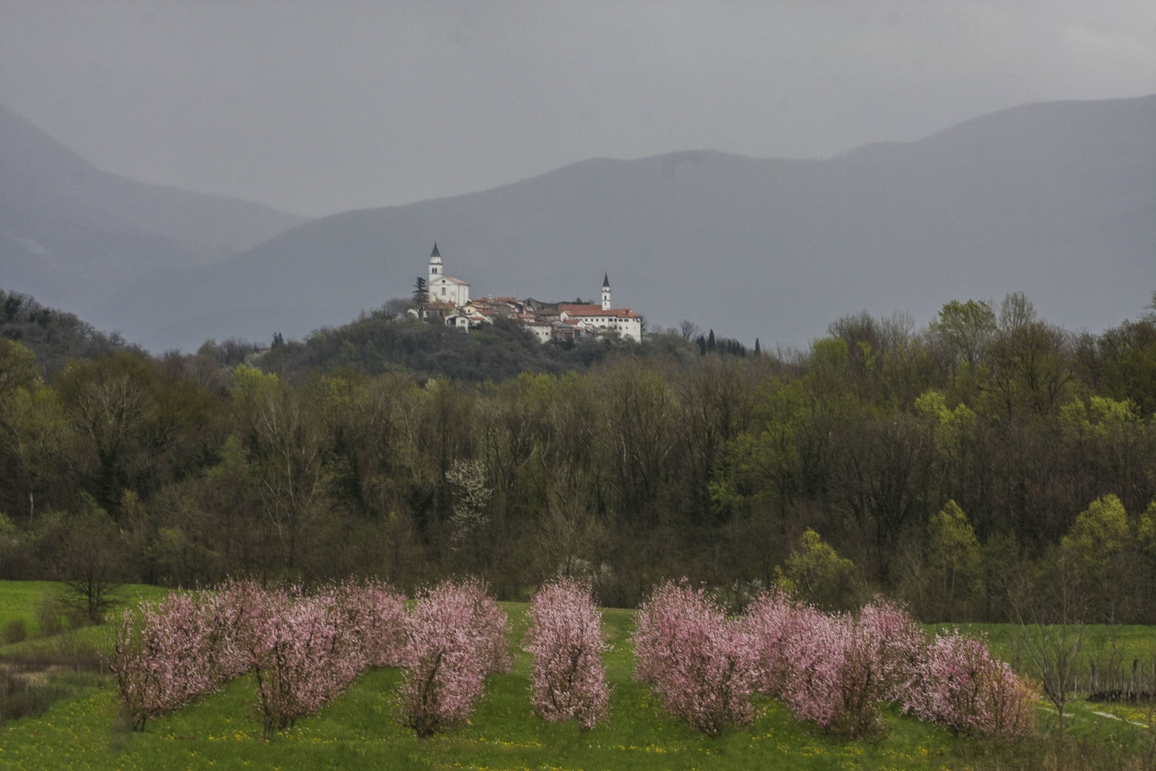 V DOLINI by