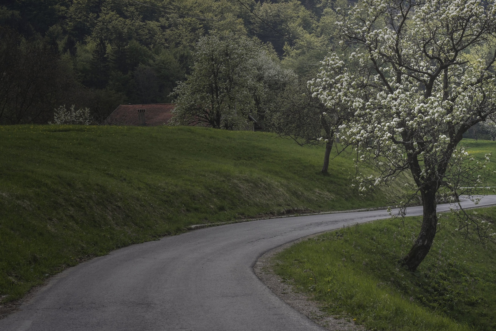APRILSKA by