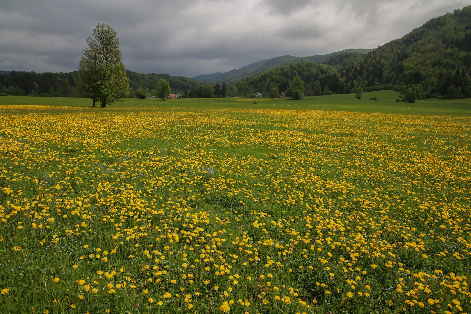 ČRNI VRH by