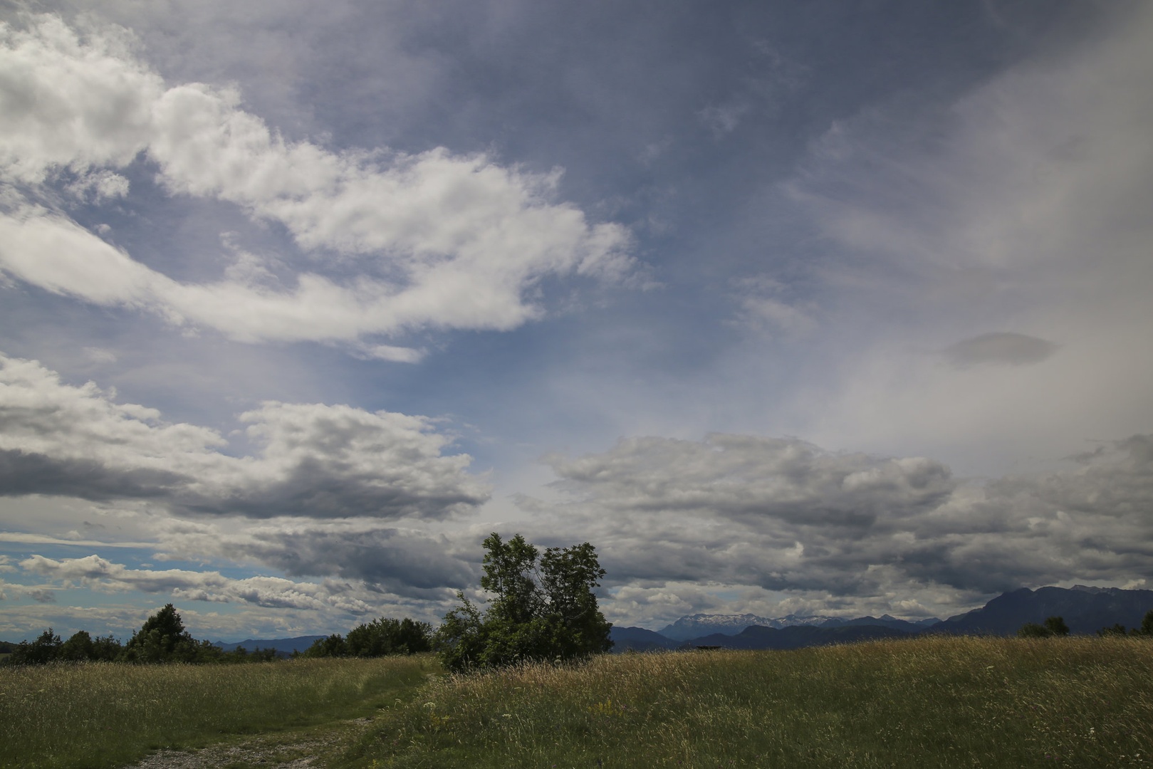 POPOLDAN by