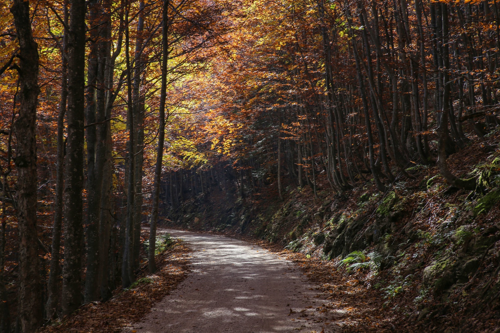 impresija. by