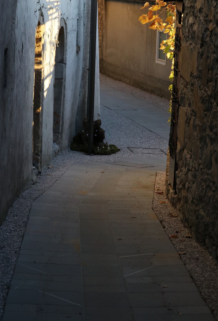 TESNO by
