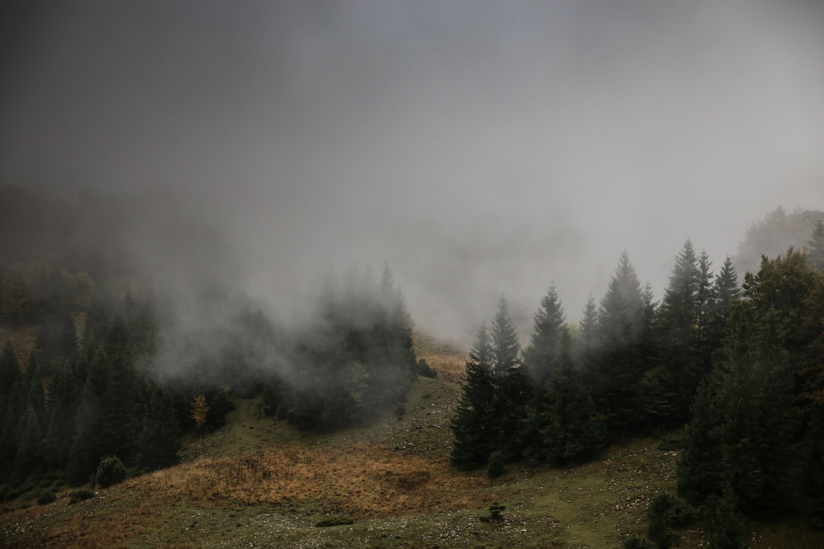 MEGLE PRIHAJAJO by