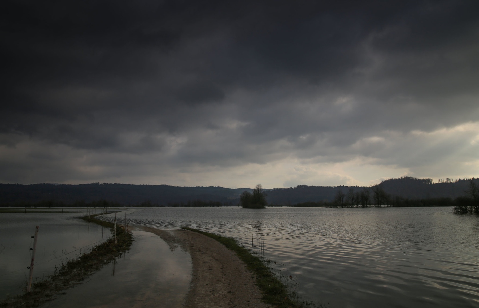 Planinsko polej by