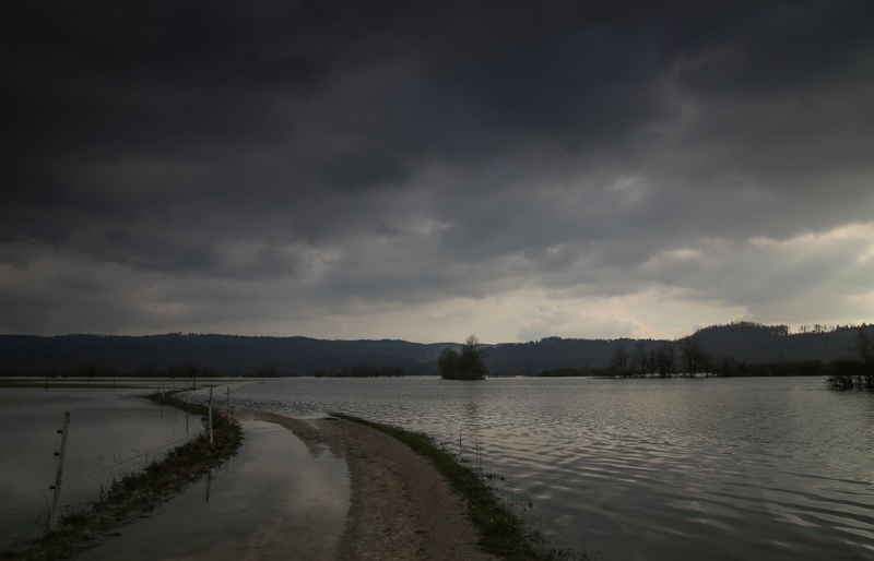 Planinsko polej by gorjan
