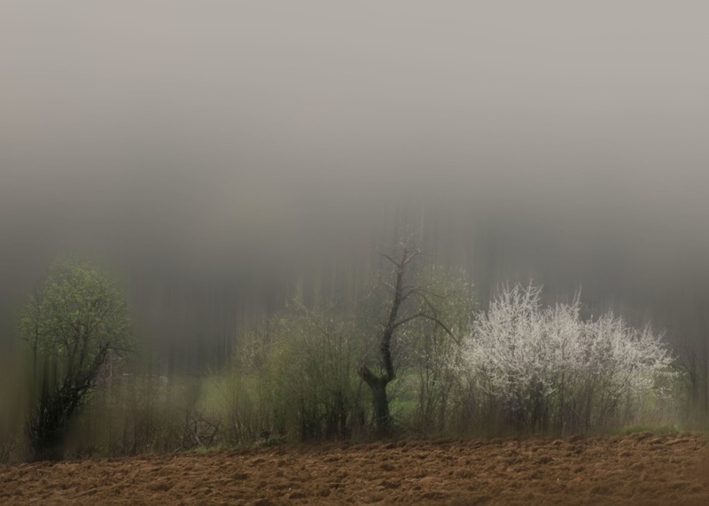 Hrepenenje by gorjan