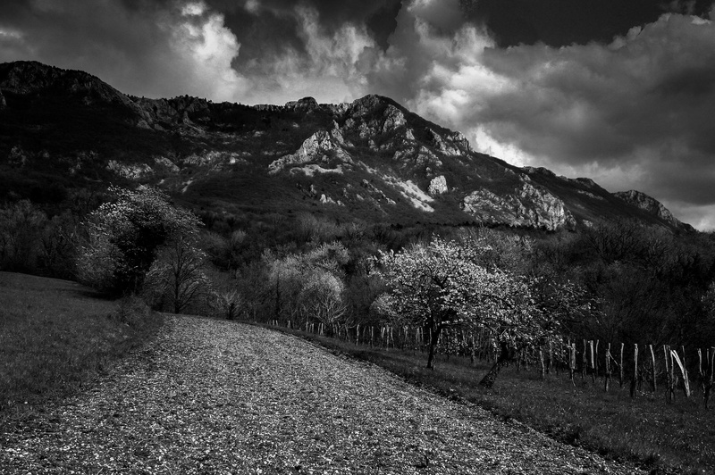 PRIŠLA BO by gorjan