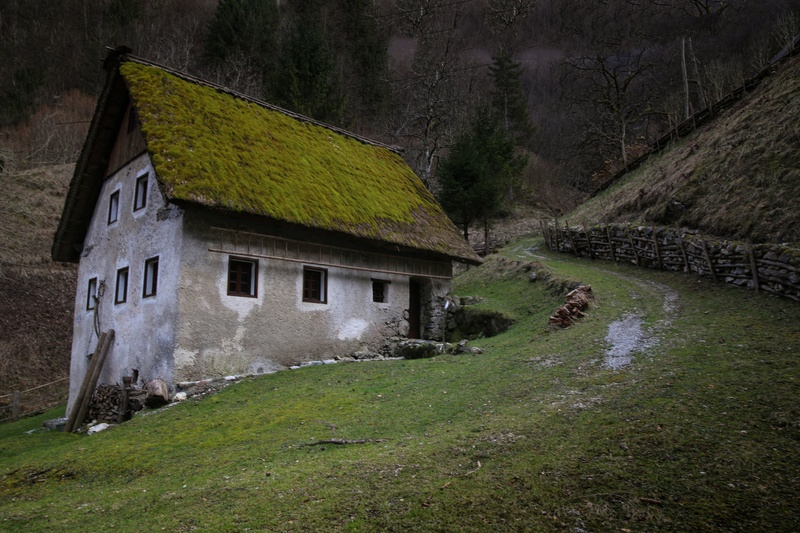 Samotne by gorjan