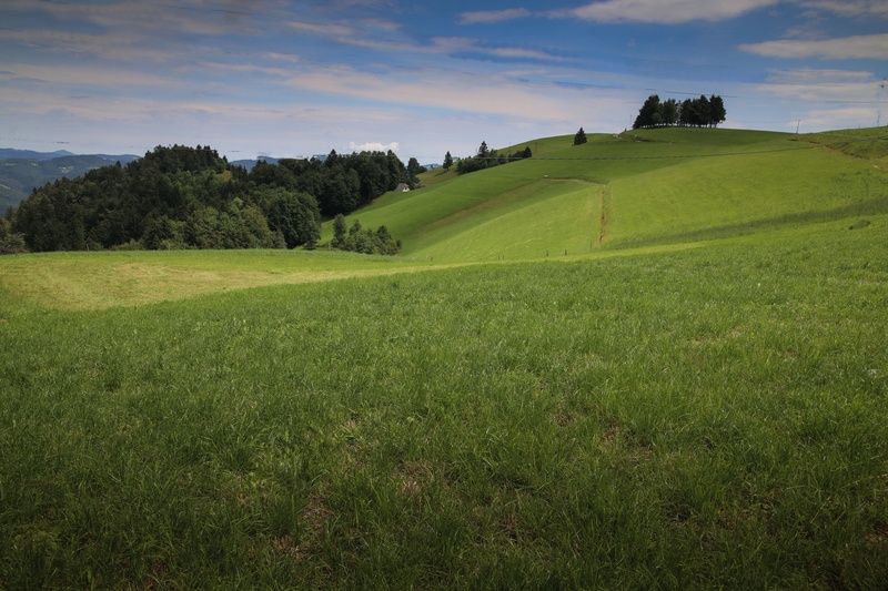 Gričevnat svet by gorjan