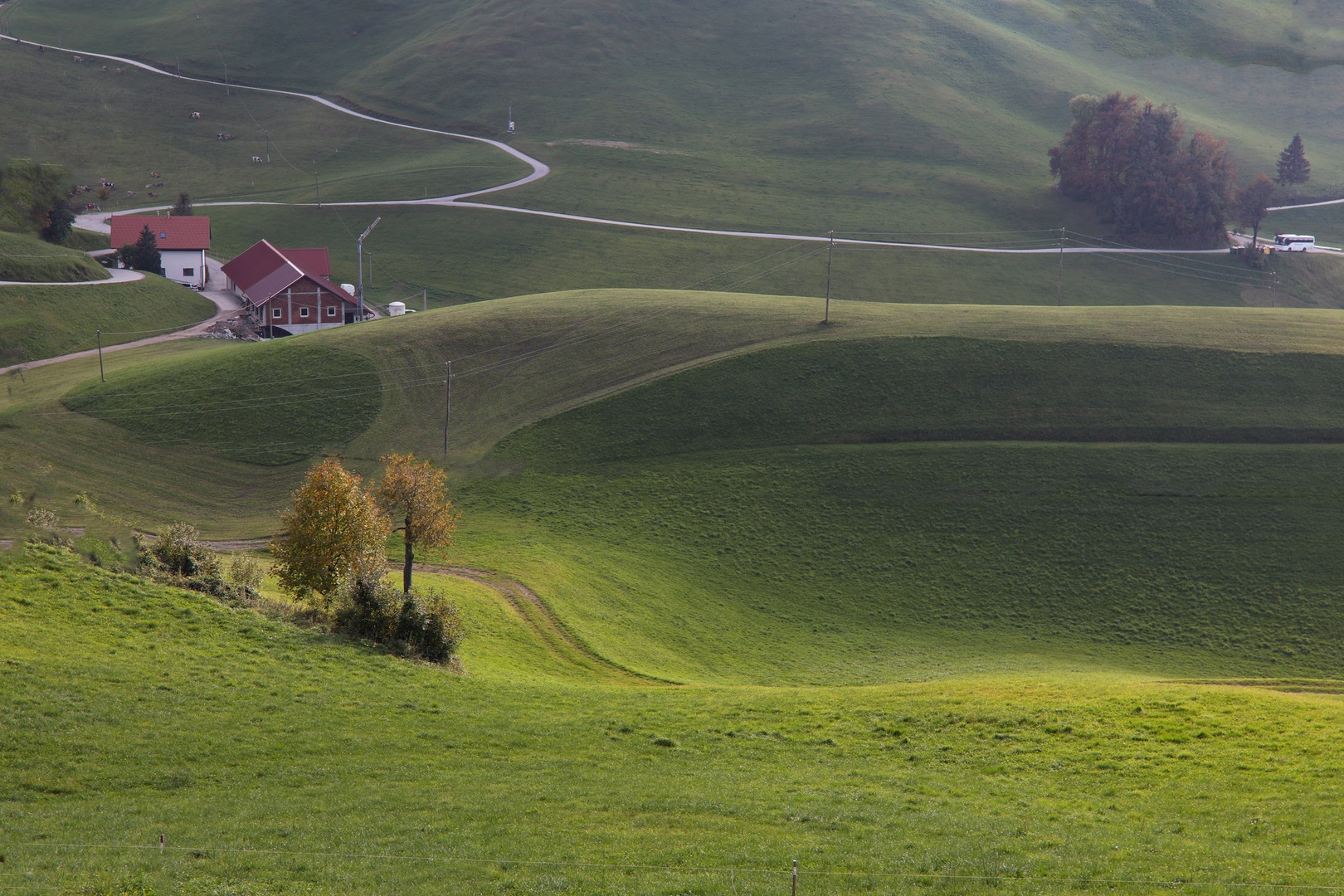 Idrijske Krnice by
