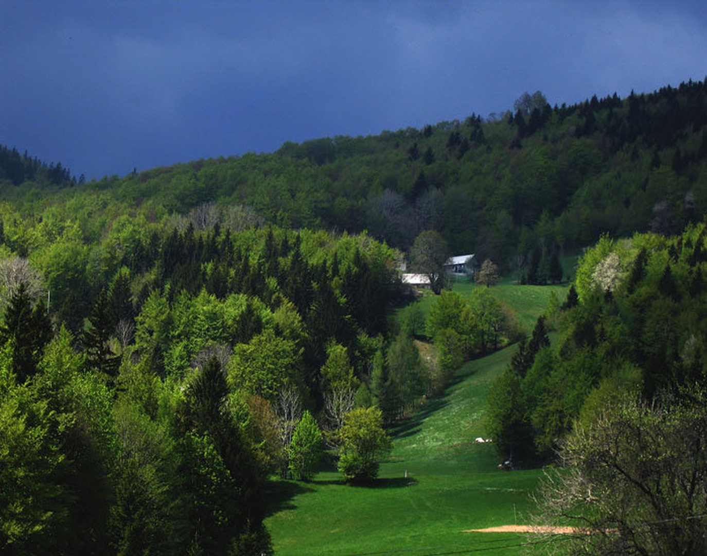 svetloba in sence by