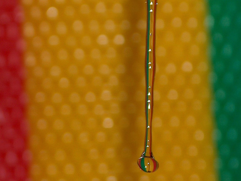 rasta drop by daks