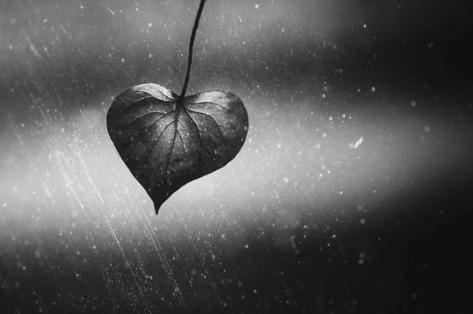 nature love by -ZaGoR-