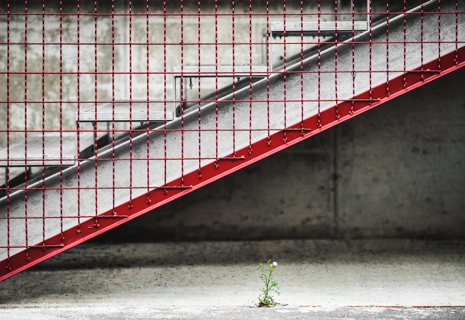 alone by -ZaGoR-