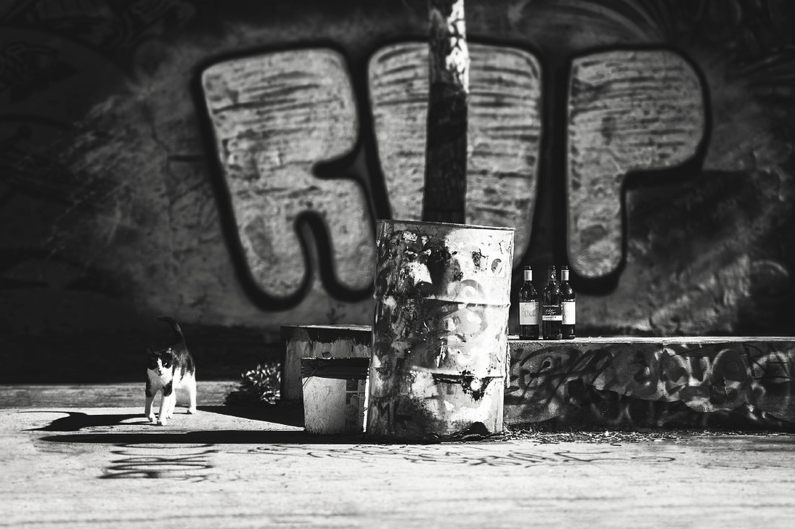 ROP by -ZaGoR-