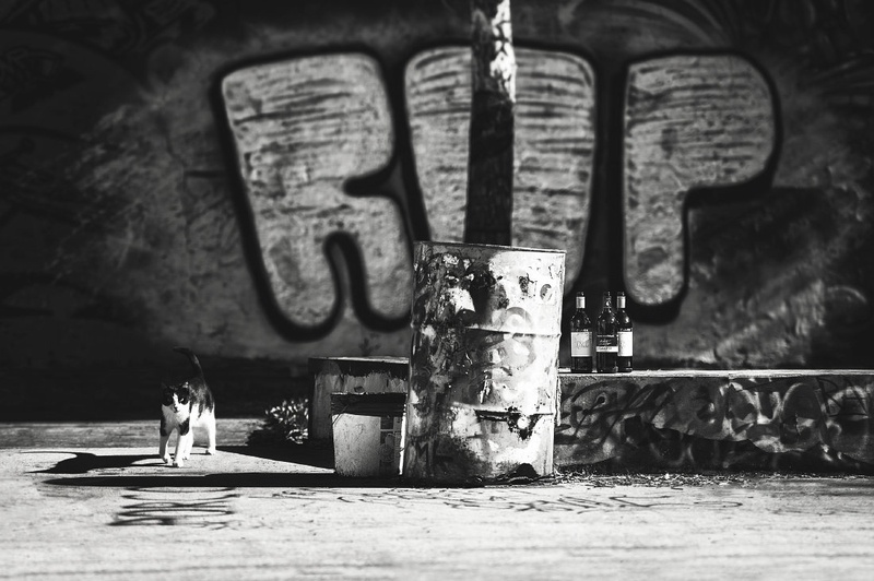 ROP by -ZaGoR-