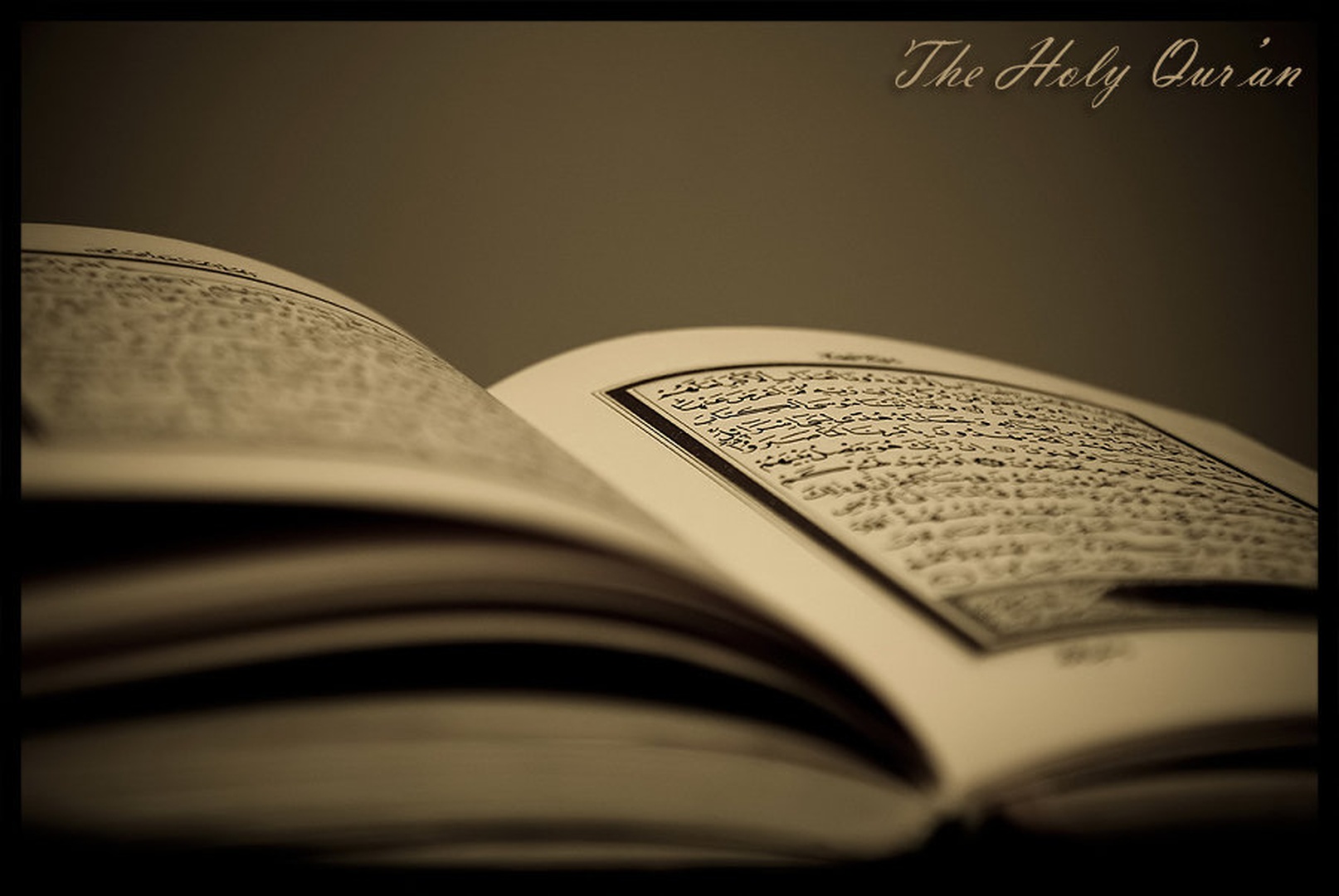 The Holy Qur'an by -ZaGoR-