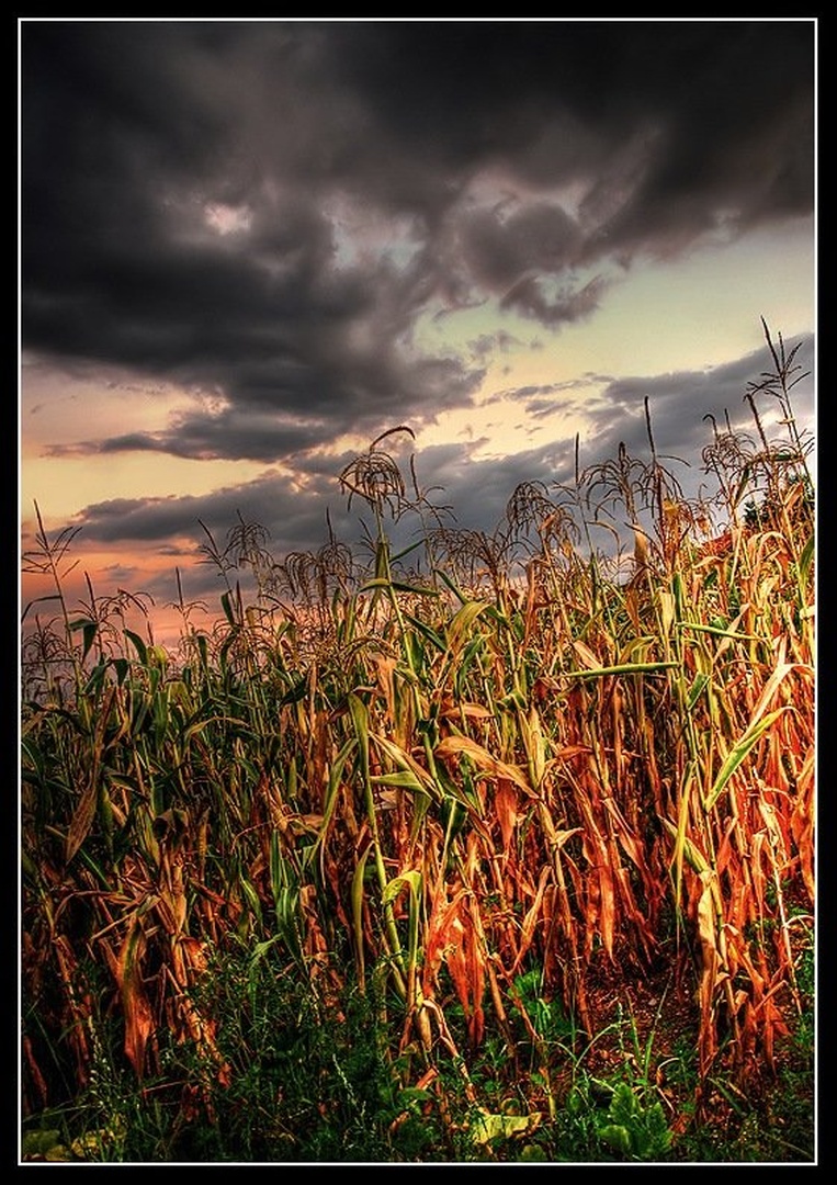 PopCorn by -ZaGoR-