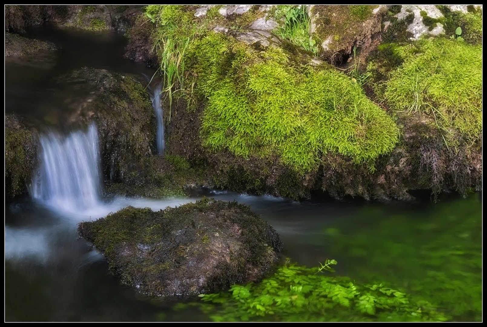 Izvir by -ZaGoR-