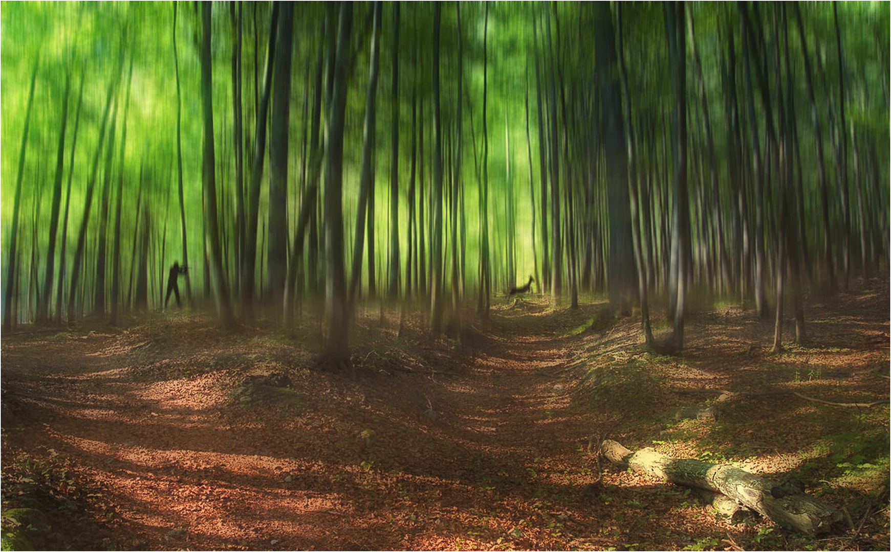 deer hunter by -ZaGoR-