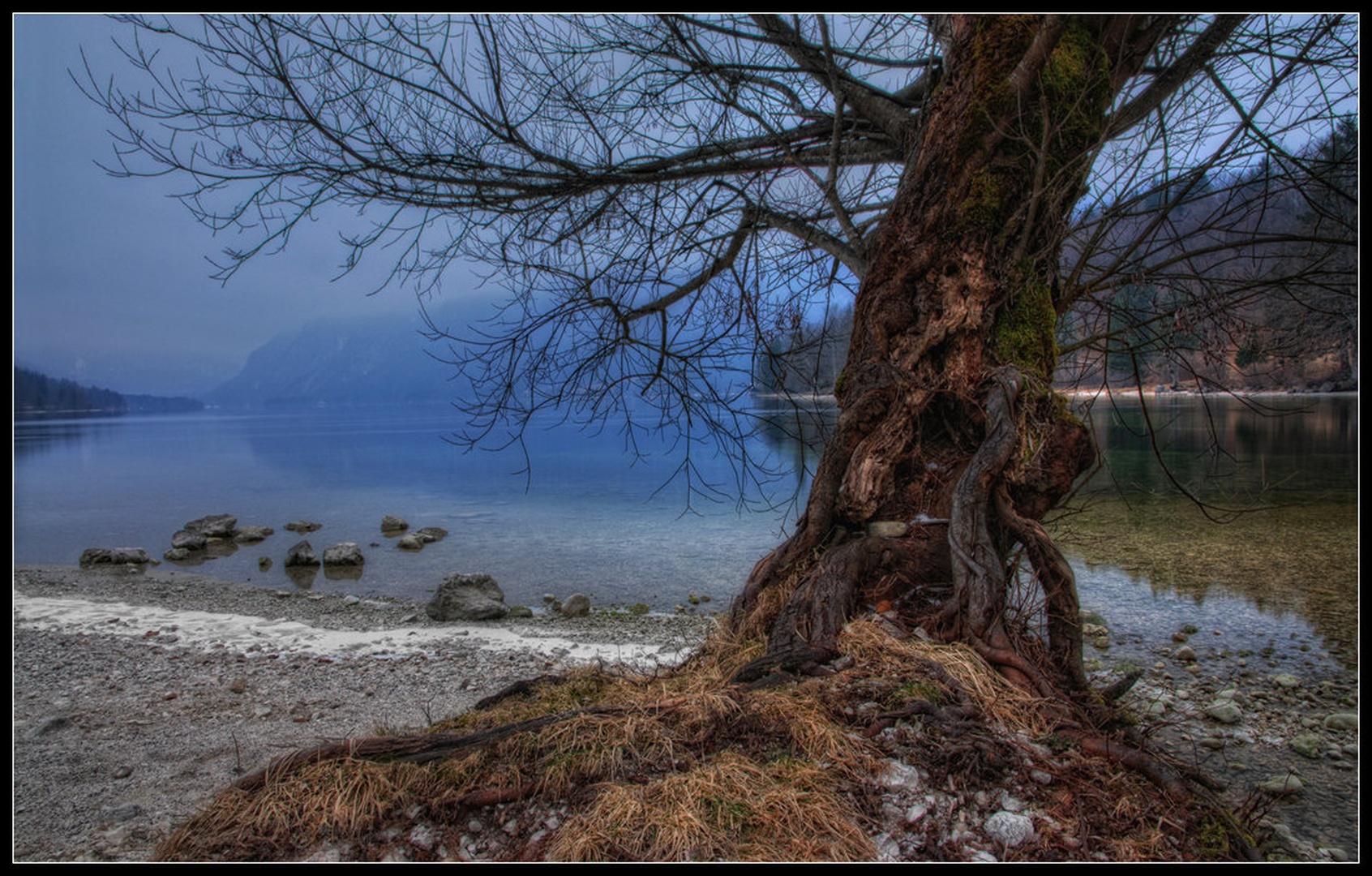 Mirno jutro.. by -ZaGoR-