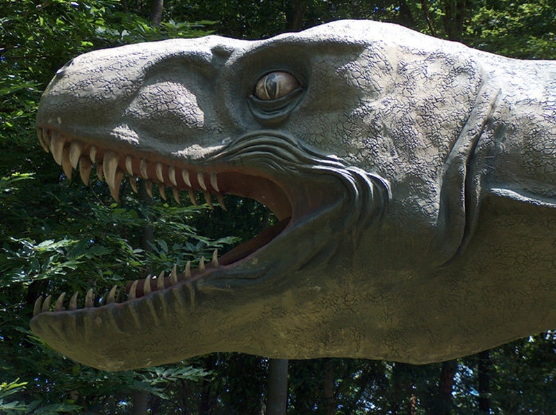 T-Rex by Silvester Puntigam