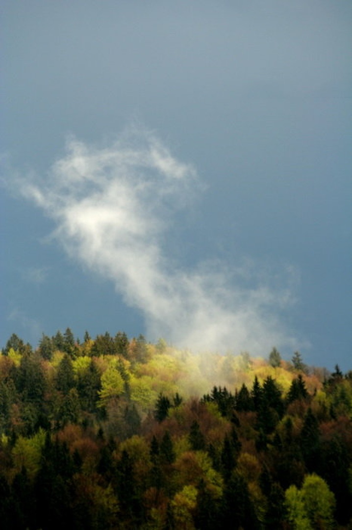 After the rain by Dejan Dular