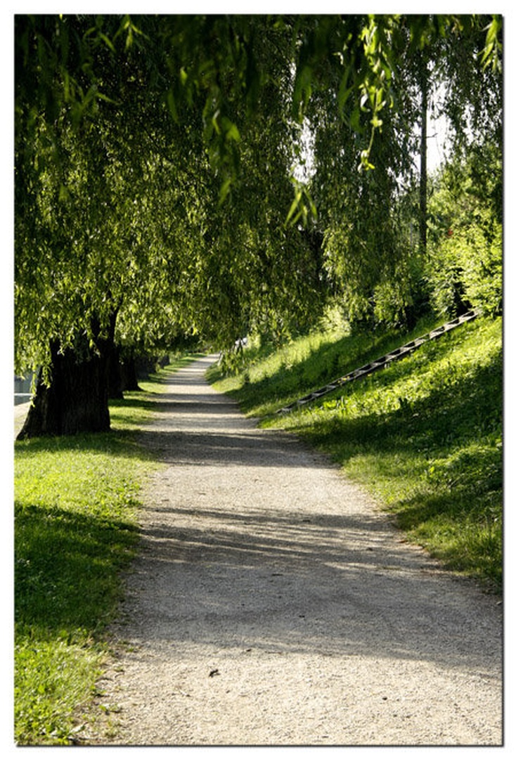 Ob Ljubljanici by Srečko