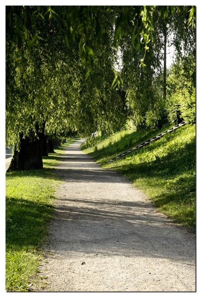 Ob Ljubljanici by Srečko
