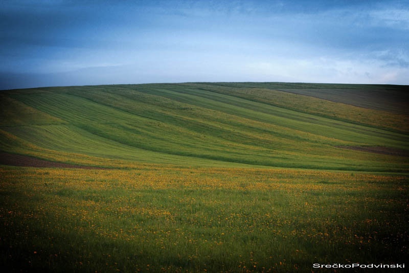 Landscape by Srečko