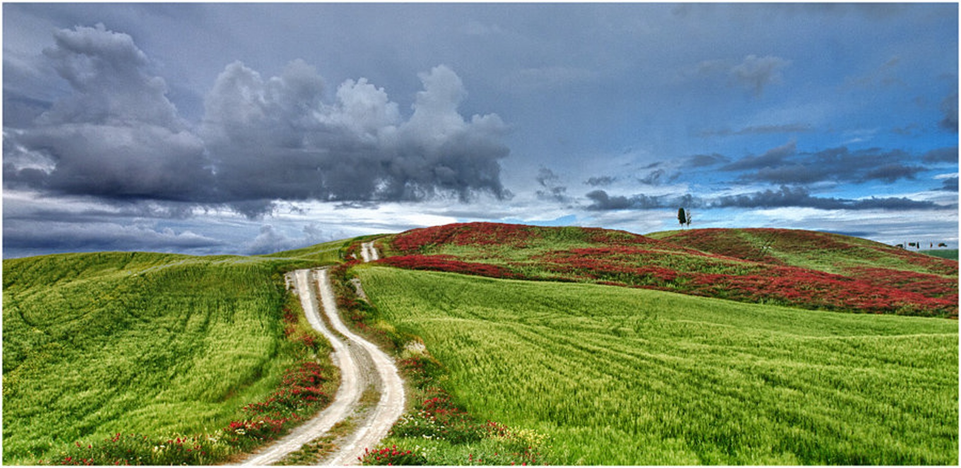 Toscana by Sebastjan Balažic