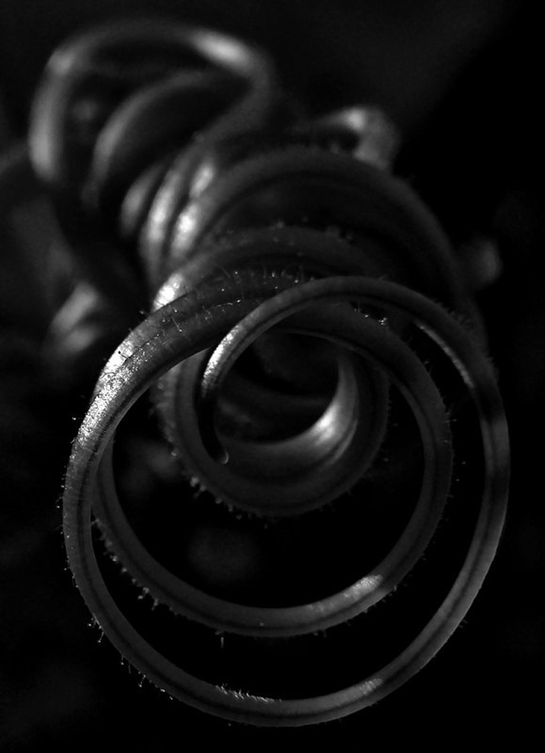 Spirala by