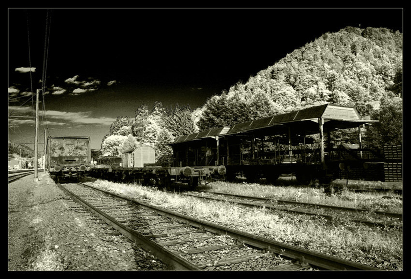 Zapušeni vagoni by