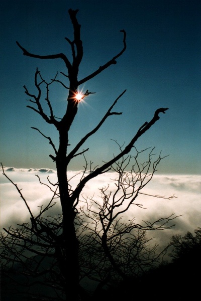 Cold Sun by metal_head