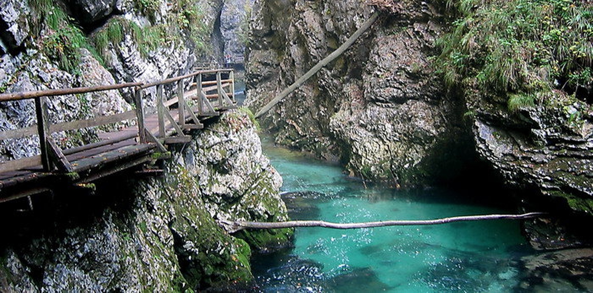 Blejski vintgar by