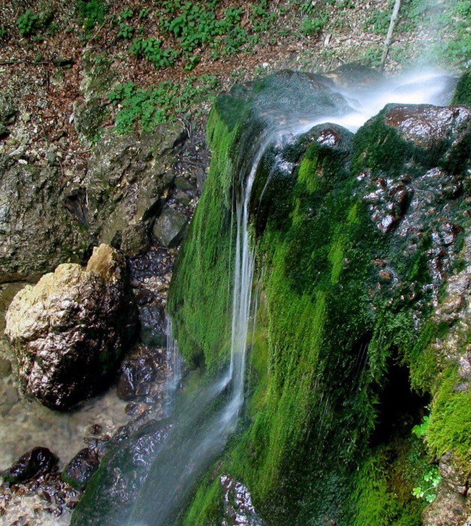 ZELENEC by