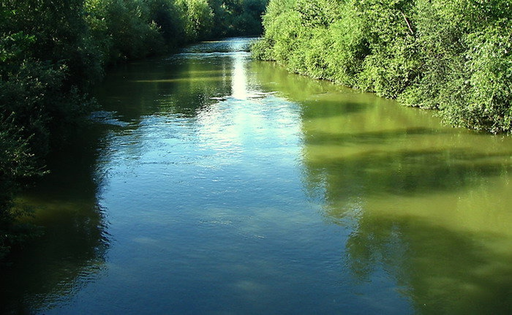 Kamniška bistrica by