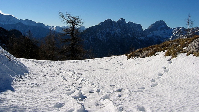 Proti Trenti by planincelj