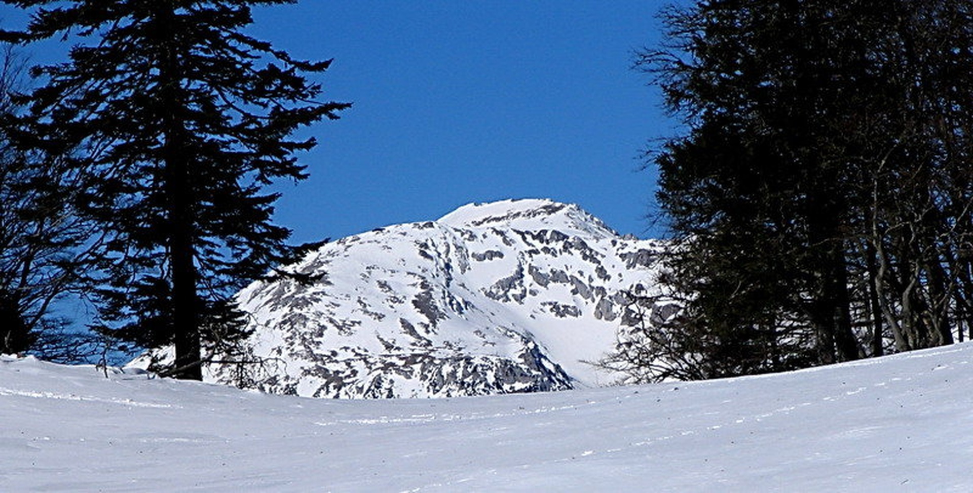 Stol by