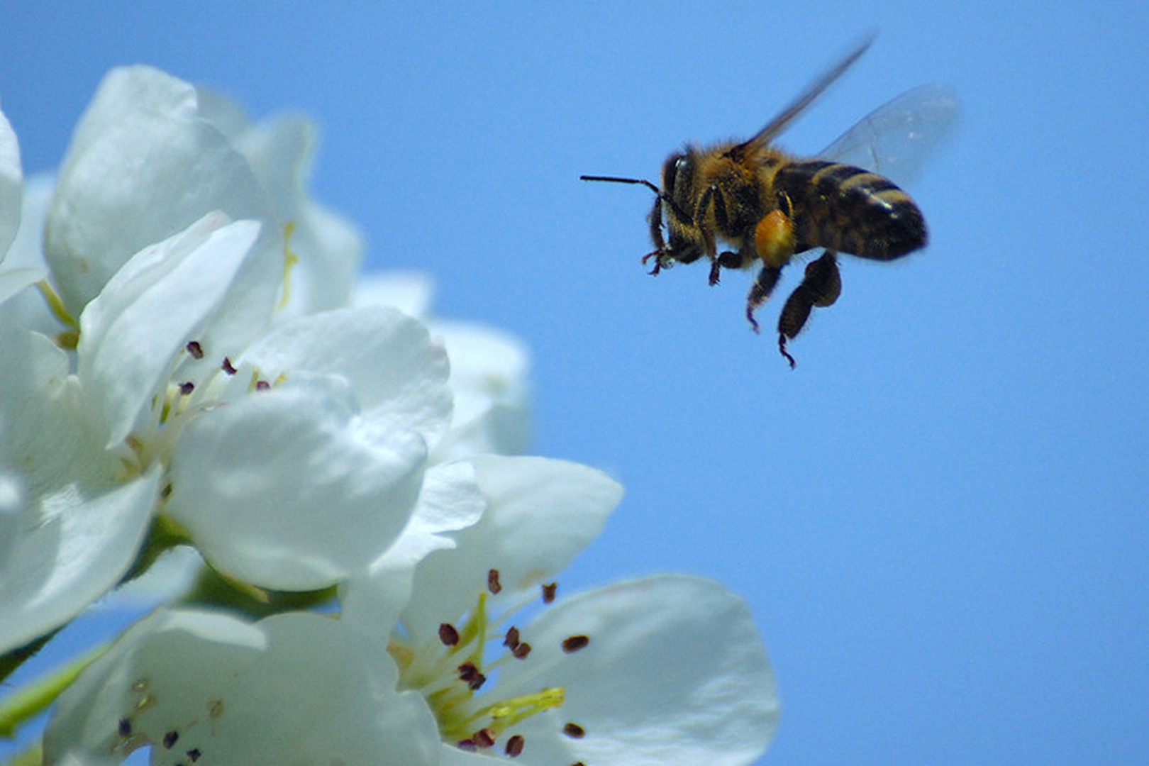 Pristanek by