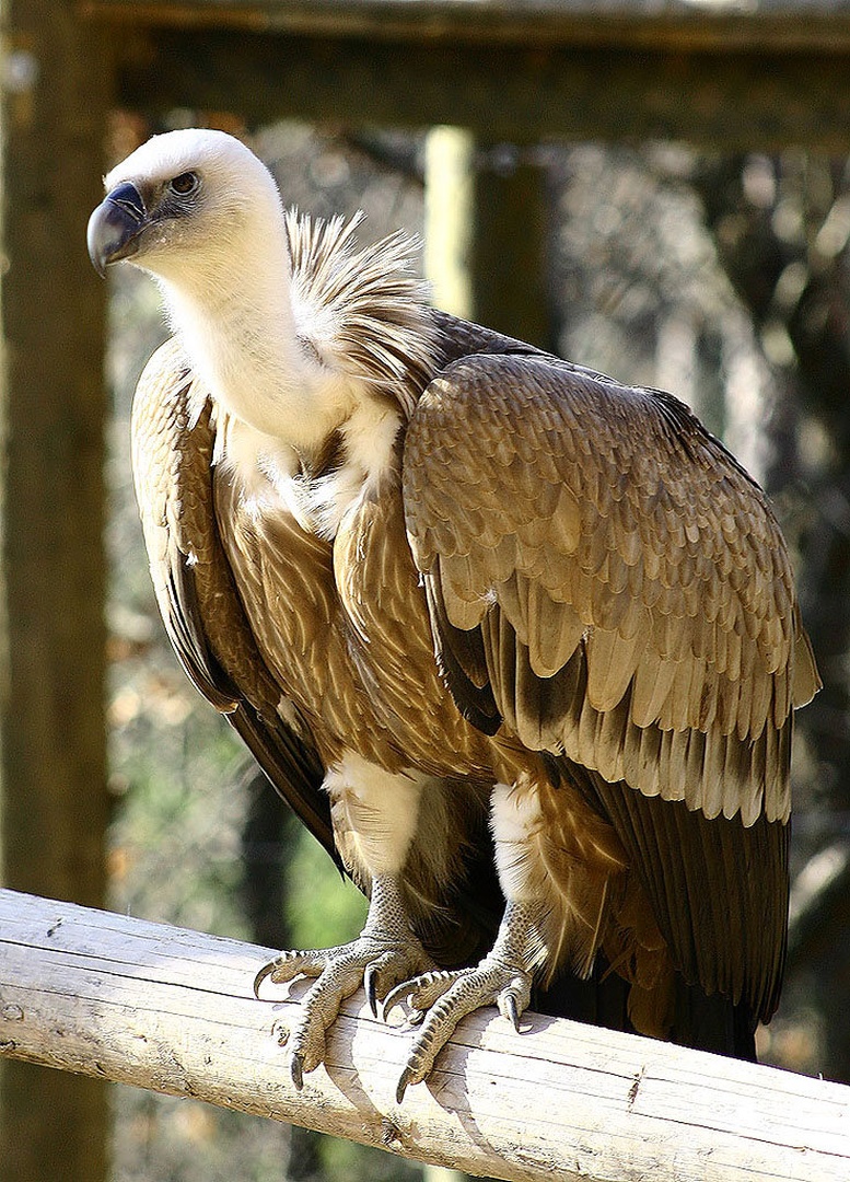 I'll be watching you! by Boštjan Zagožen