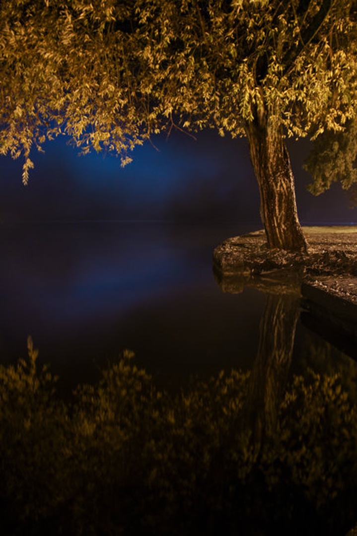 Reflected by